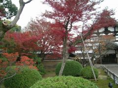 �y�G�[�XJTB�z���s�c�A�[�\��E���s�̗��فE�z�e���\��